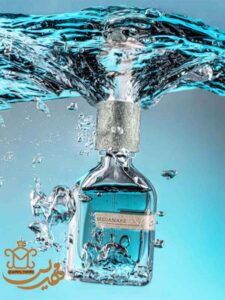 اکسترا پرفیوم اورتو پاریسی مگاماره عطر ادکلن مگامار Orto Parisi Megamare
