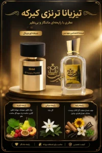 اینفوگرافی تیزیانا ترنزی کیرکه