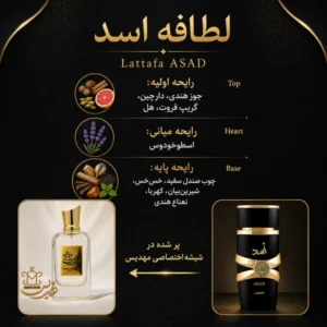 اینفو گرافی لطافه اسد