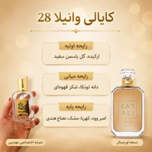 اینفو گرافی کایالی وانیلا 28