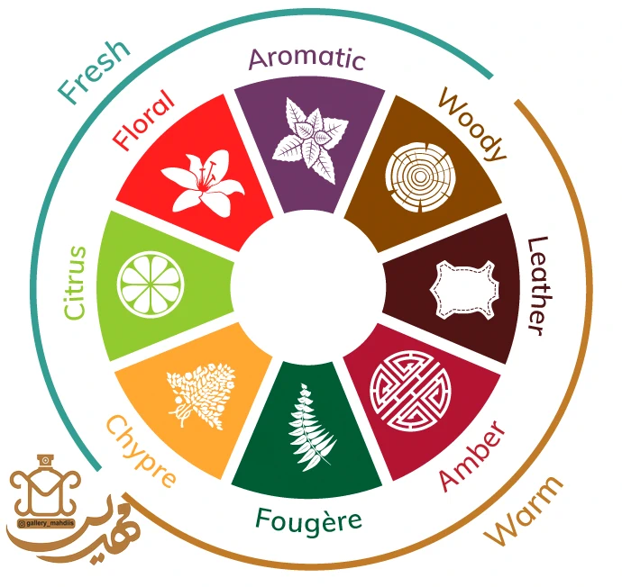 olfactory group