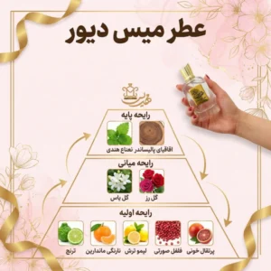 هرم بویایی و نتهای تشکیل دهن ه میس دیور
